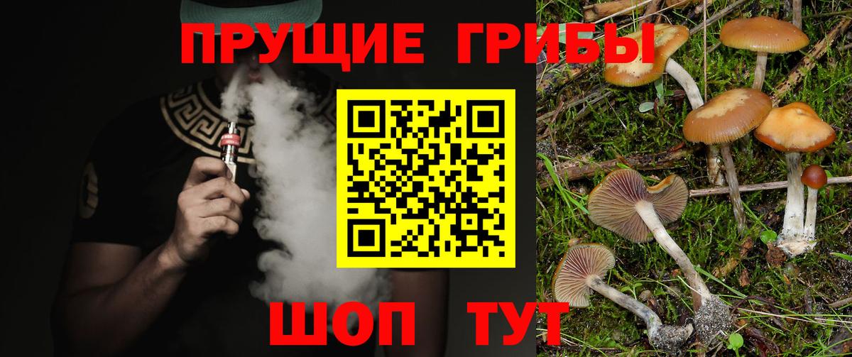 Псилоцибиновые грибы мицелий Калининград